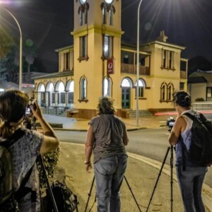 Field Workshops - Group / Private